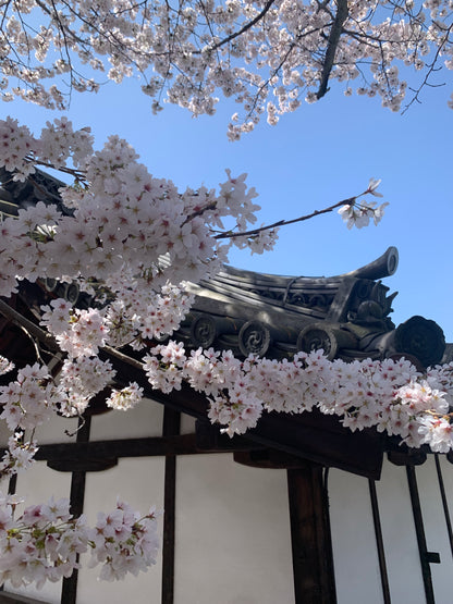 hanami