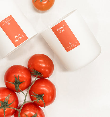 tomato vine