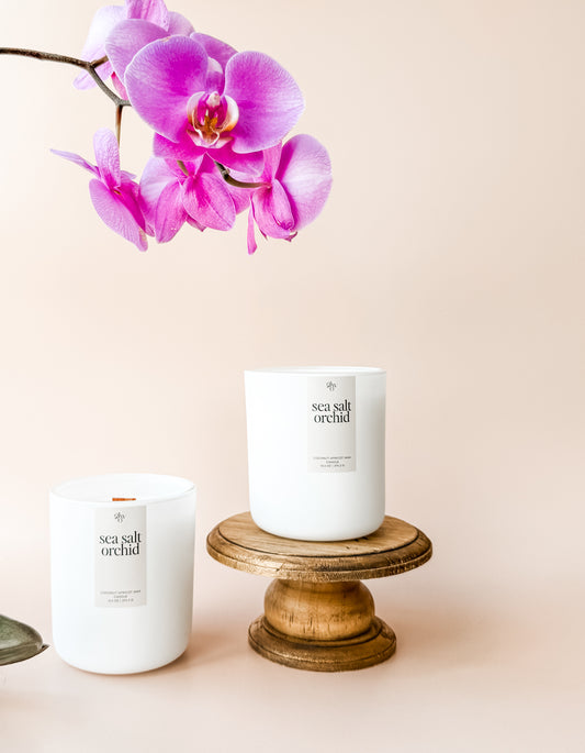 sea salt orchid